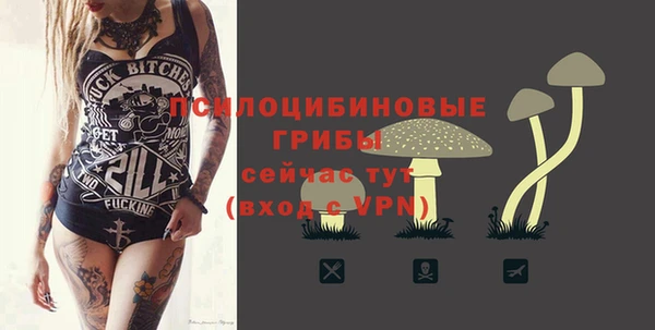 дживик Киреевск