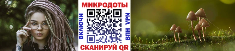 Купить закладки  Бавлы  Галлюциногенные грибы ЛСД 